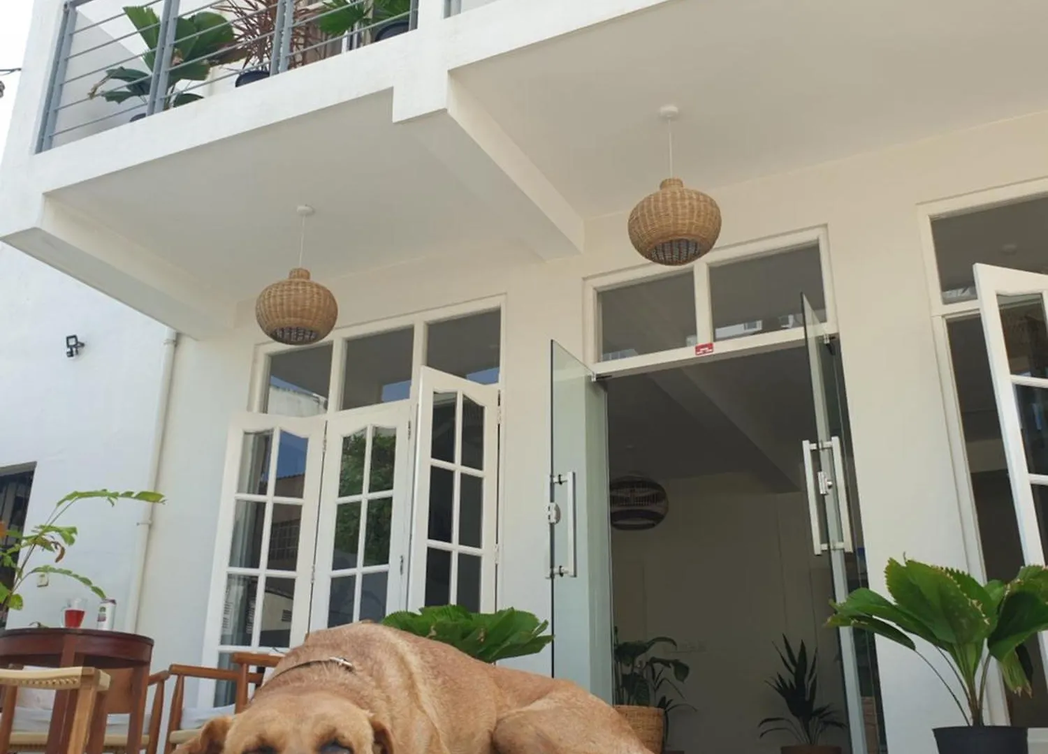 Guest house Mountbaylk Hotel Dehiwala-Mount Lavinia