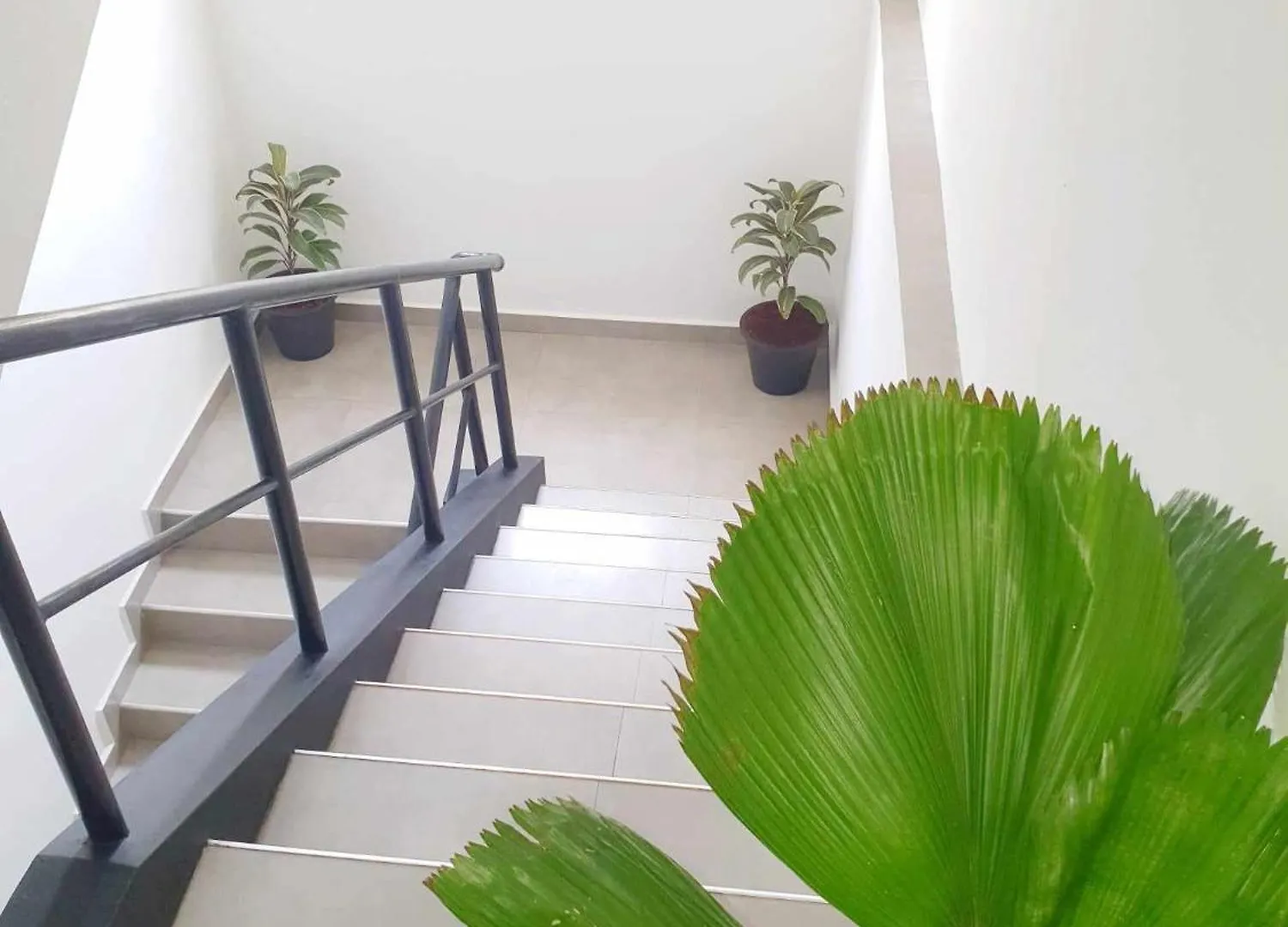 Mountbaylk Hotel Dehiwala-Mount Lavinia 3*,  Sri Lanka